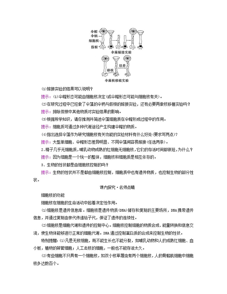 新教材适用2023_2024学年高中生物第3章细胞的基本结构第3节细胞核的结构和功能学案新人教版必修103