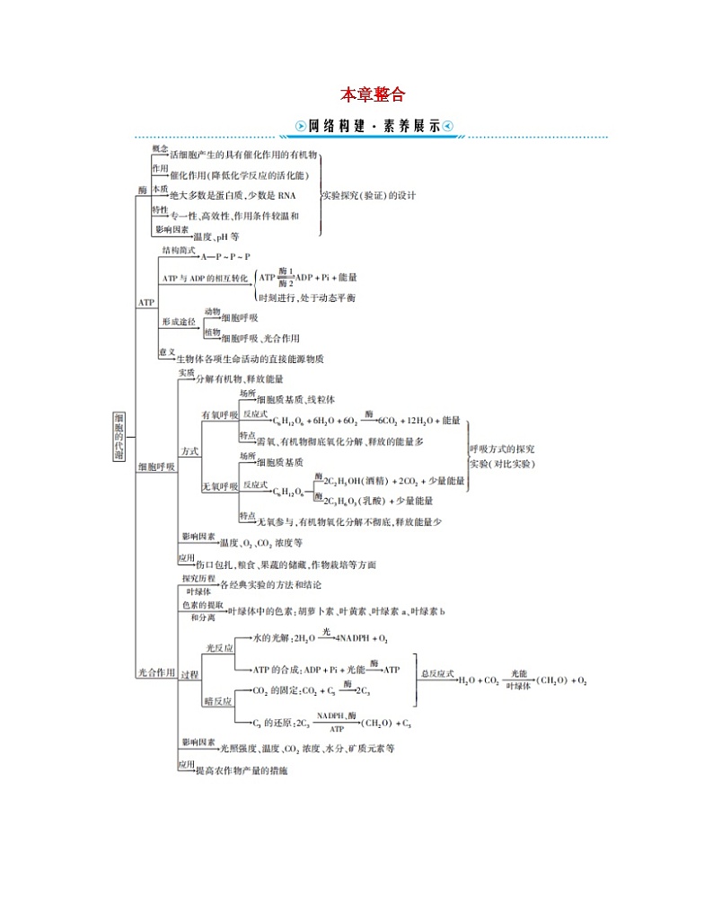 新教材适用2023_2024学年高中生物第5章细胞的能量供应和利本章整合学案新人教版必修1第1页