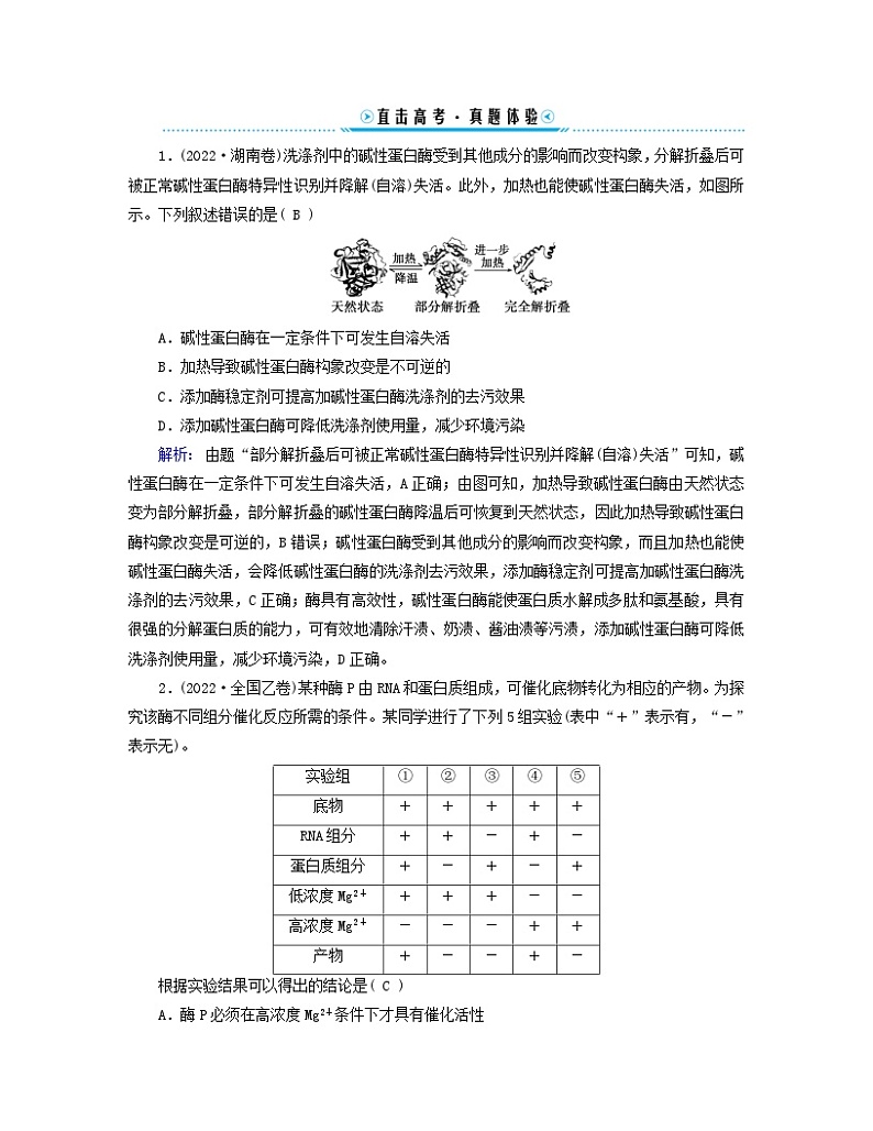 新教材适用2023_2024学年高中生物第5章细胞的能量供应和利本章整合学案新人教版必修1第2页