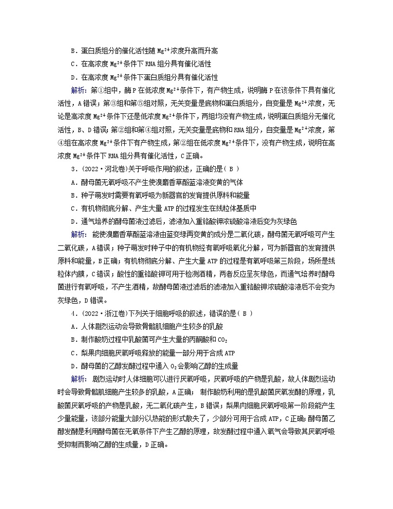 新教材适用2023_2024学年高中生物第5章细胞的能量供应和利本章整合学案新人教版必修1第3页