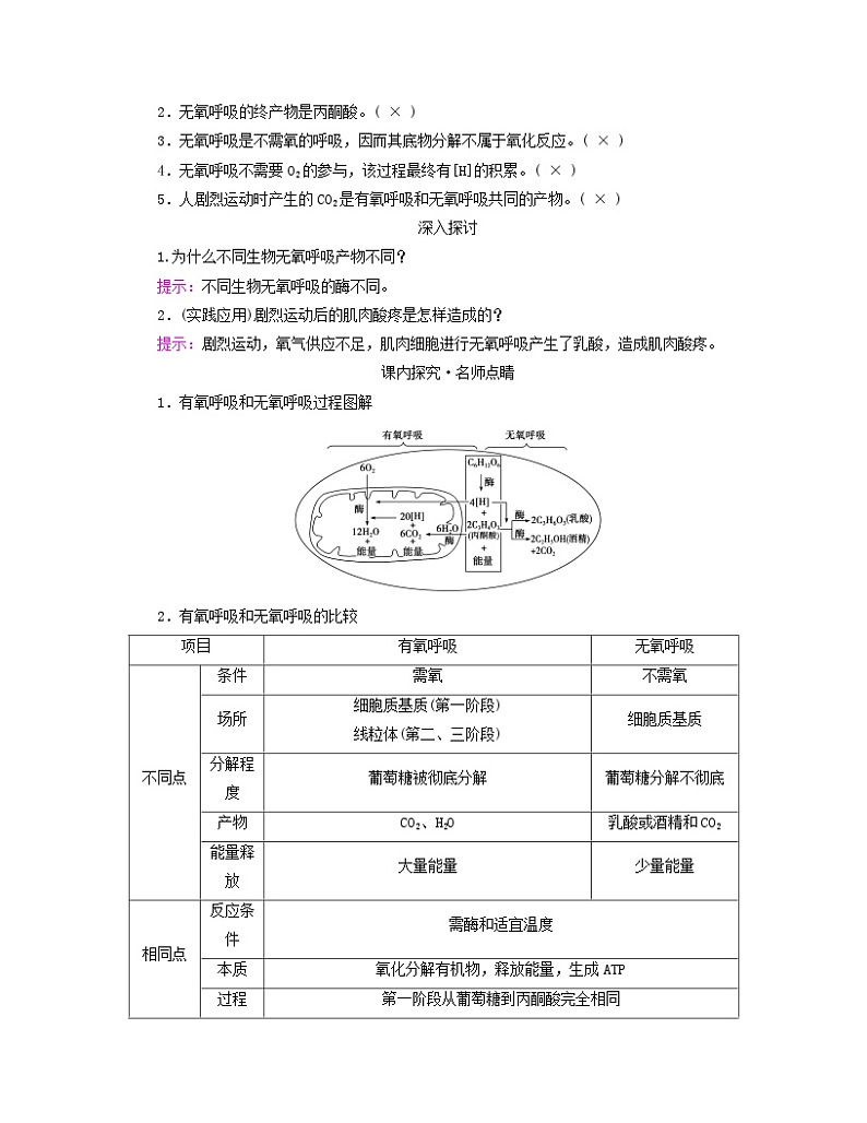 新教材适用2023_2024学年高中生物第5章细胞的能量供应和利用第3节细胞呼吸的原理和应用第2课时无氧呼吸与细胞呼吸原理的应用学案新人教版必修102
