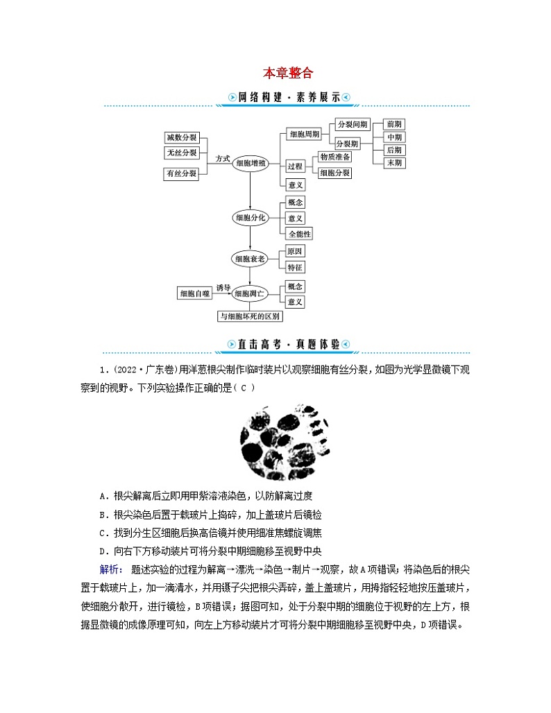 新教材适用2023_2024学年高中生物第6章细胞的生命历程本章整合学案新人教版必修101