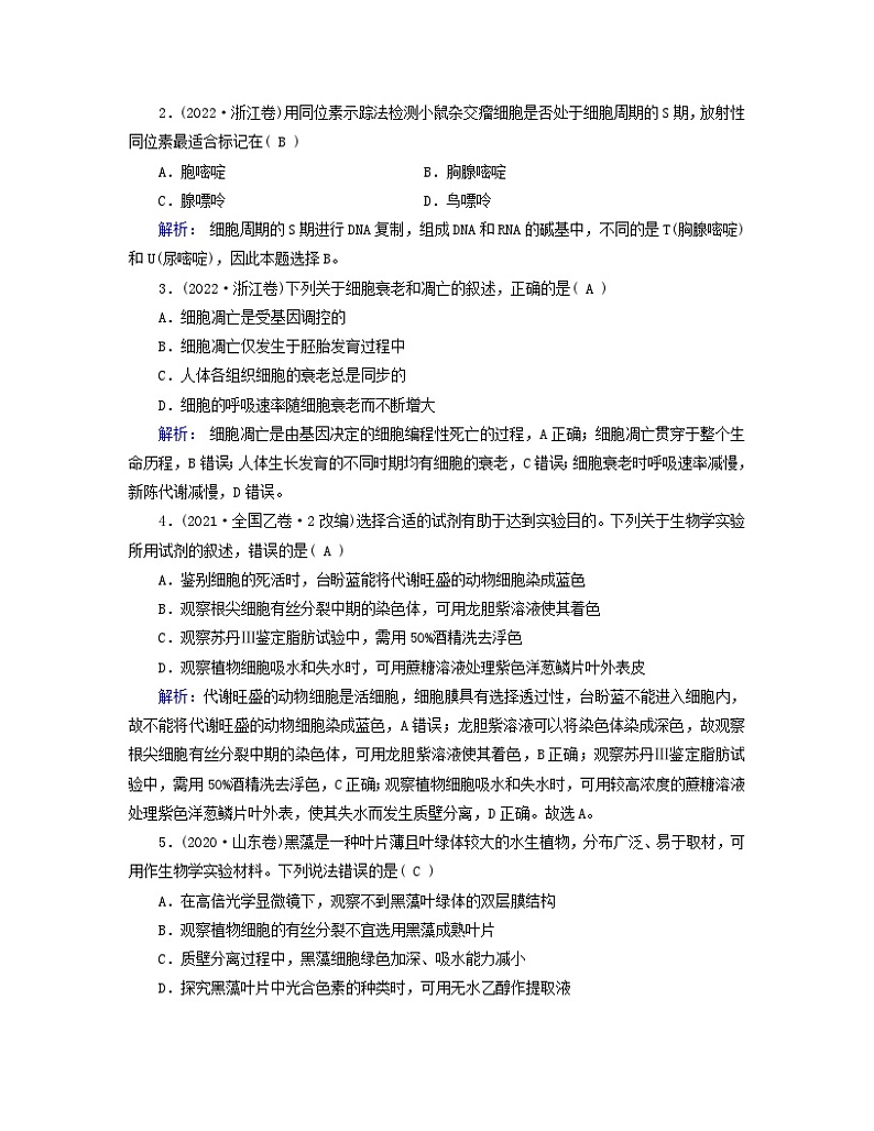 新教材适用2023_2024学年高中生物第6章细胞的生命历程本章整合学案新人教版必修102