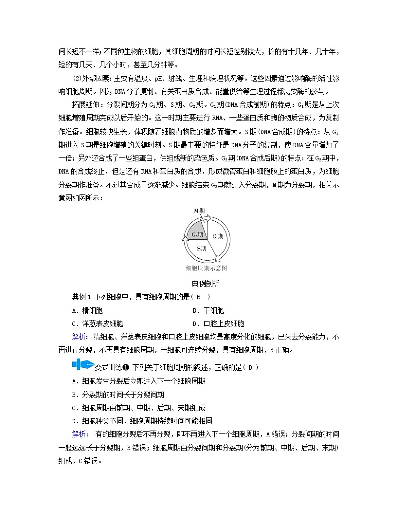 新教材适用2023_2024学年高中生物第6章细胞的生命历程第1节细胞的增殖第1课时细胞周期和有丝分裂的过程学案新人教版必修1第3页