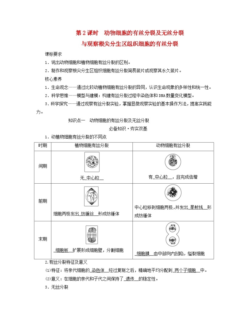 新教材适用2023_2024学年高中生物第6章细胞的生命历程第1节细胞的增殖第2课时动物细胞的有丝分裂及无丝分裂与观察根尖分生区组织细胞的有丝分裂学案新人教版必修101