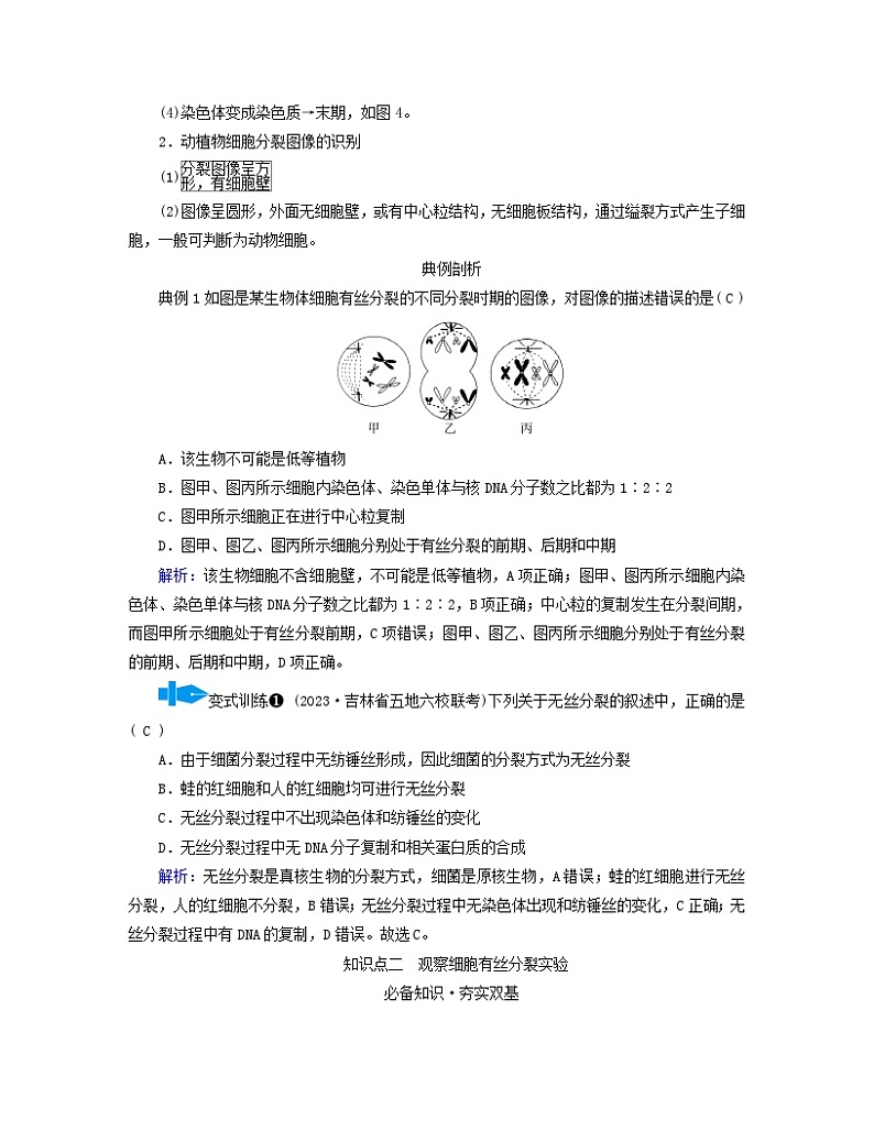 新教材适用2023_2024学年高中生物第6章细胞的生命历程第1节细胞的增殖第2课时动物细胞的有丝分裂及无丝分裂与观察根尖分生区组织细胞的有丝分裂学案新人教版必修103