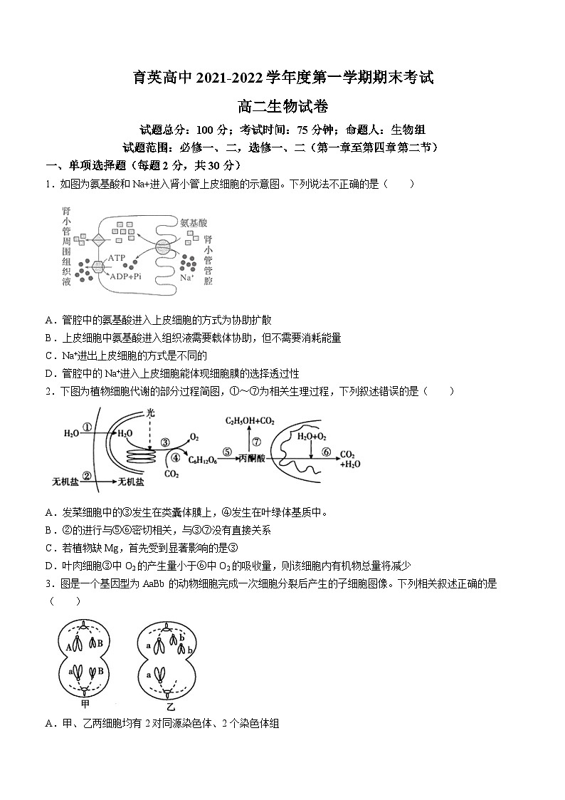 辽宁省朝阳市育英高考补习学校2021-2022学年高二上学期期末生物试题01