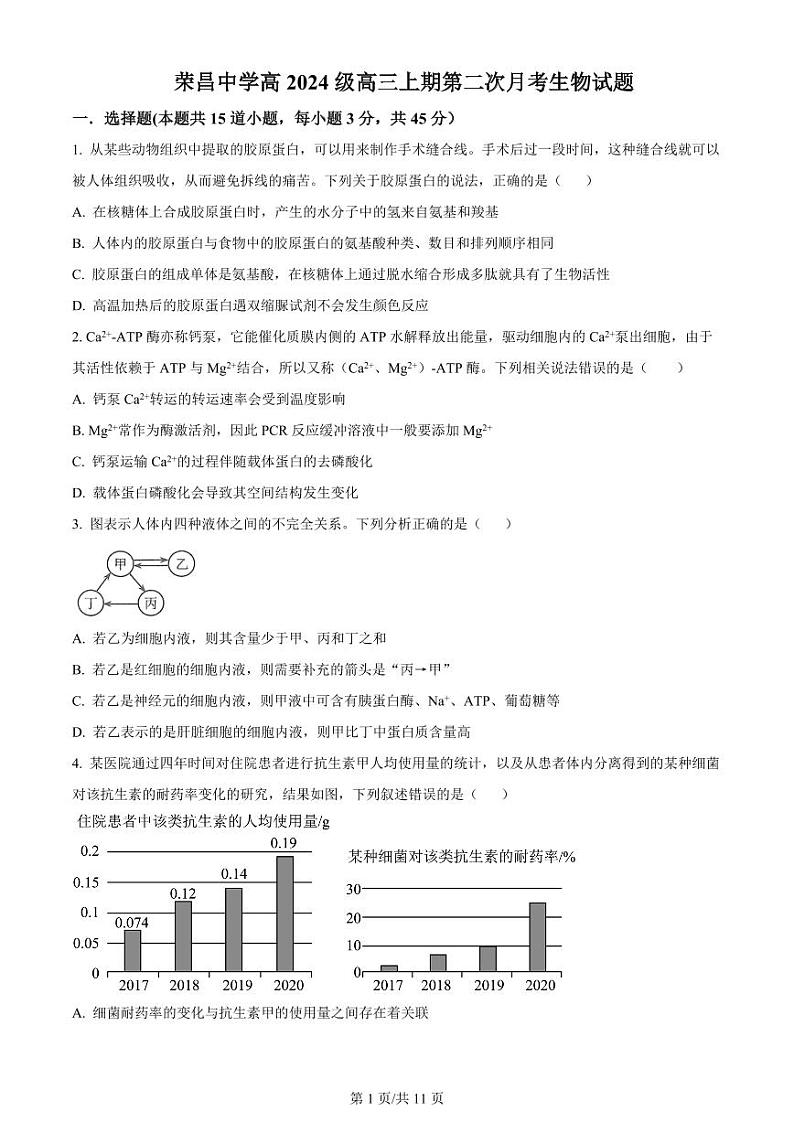 2024重庆市荣昌中学高三上学期第二次月考试题生物PDF版含答案01