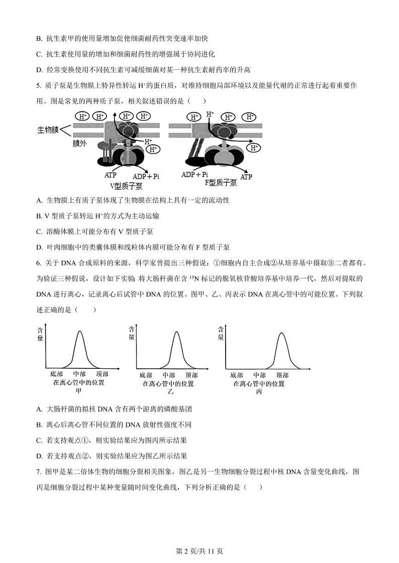 2024重庆市荣昌中学高三上学期第二次月考试题生物PDF版含答案02