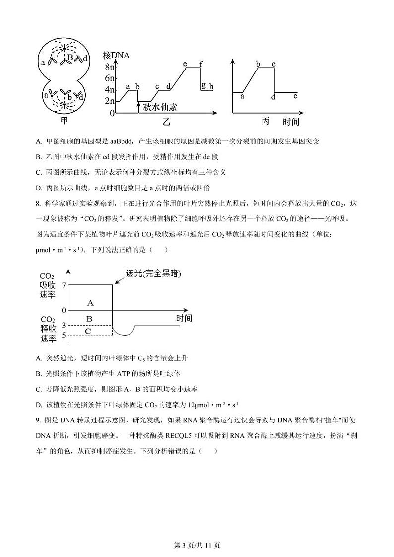 2024重庆市荣昌中学高三上学期第二次月考试题生物PDF版含答案03