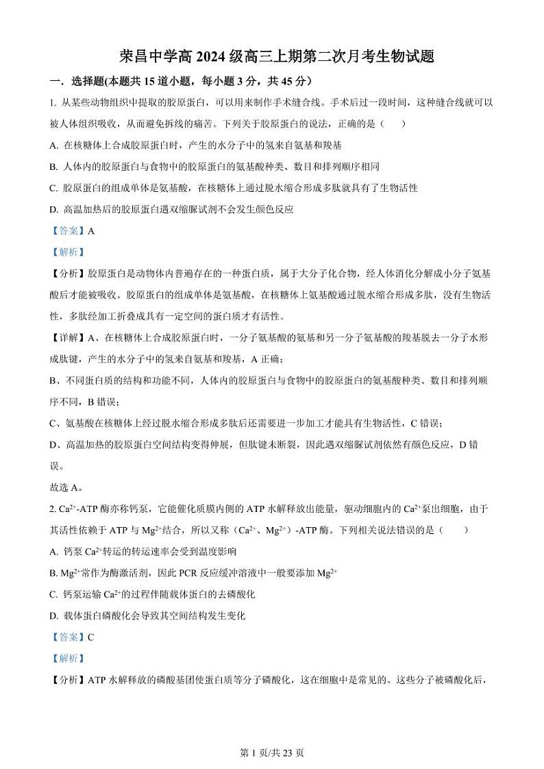 2024重庆市荣昌中学高三上学期第二次月考试题生物PDF版含答案01