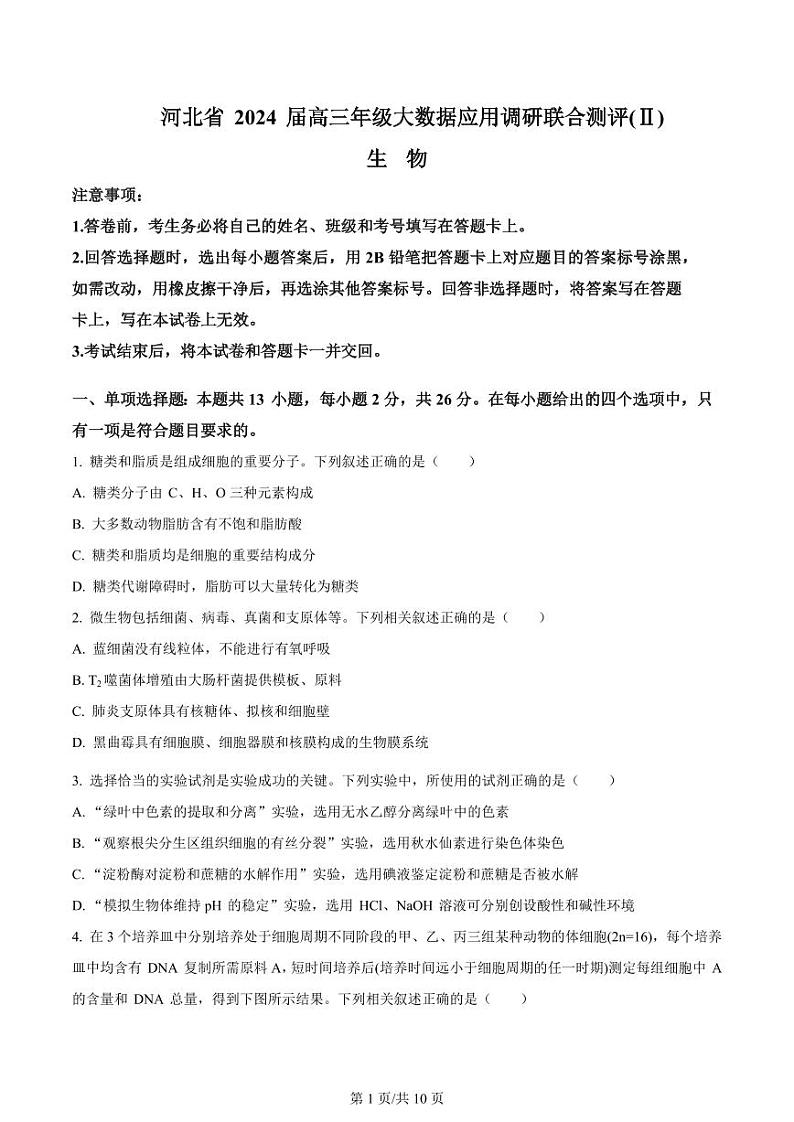 2024河北省高三上学期大数据应用调研联合测评（Ⅱ）生物PDF版含解析01