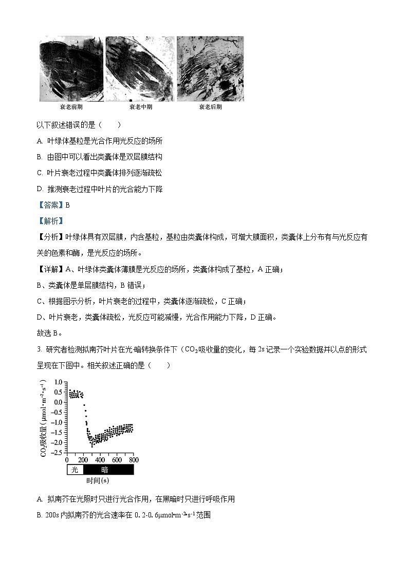 2024北京朝阳区高三上学期期中生物含解析 试卷02