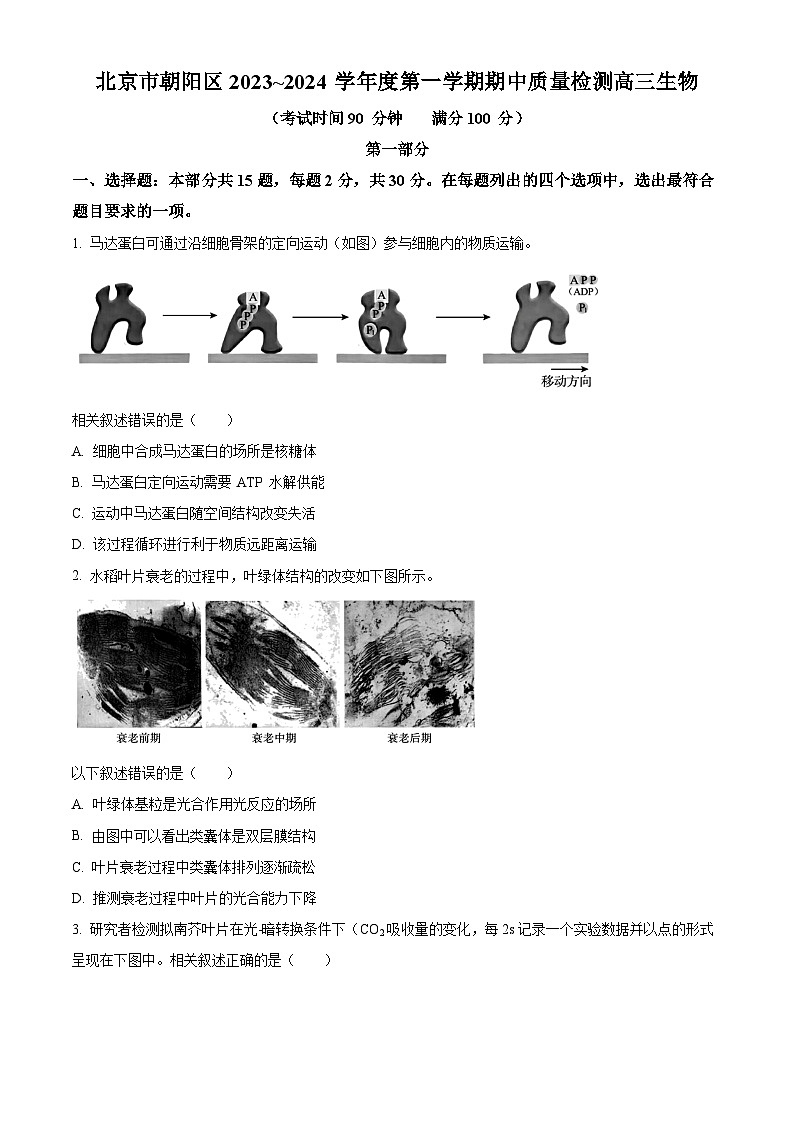 2024北京朝阳区高三上学期期中生物含解析 试卷01