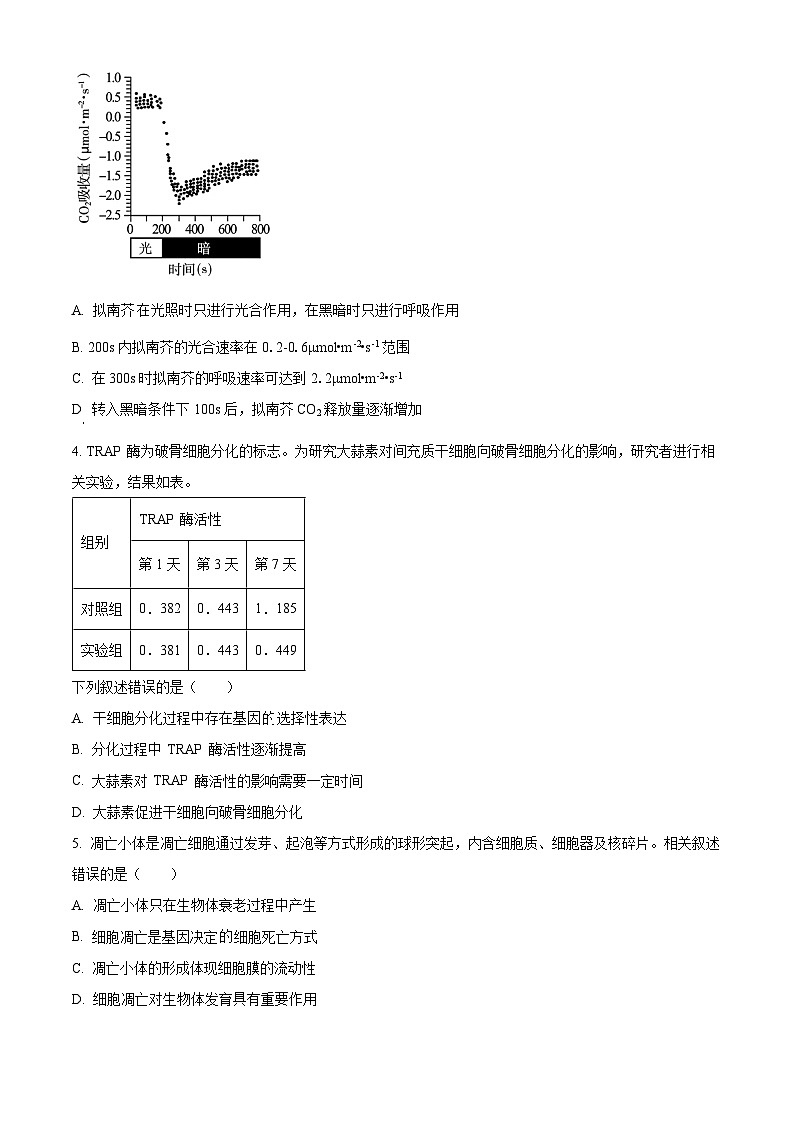 2024北京朝阳区高三上学期期中生物含解析 试卷02