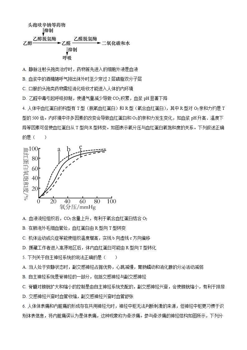 2024济宁兖州区高二上学期期中考试生物含解析第2页