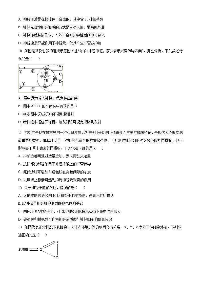 2024三明地区部分高中校协作高二上学期期中联考试题生物含解析第3页