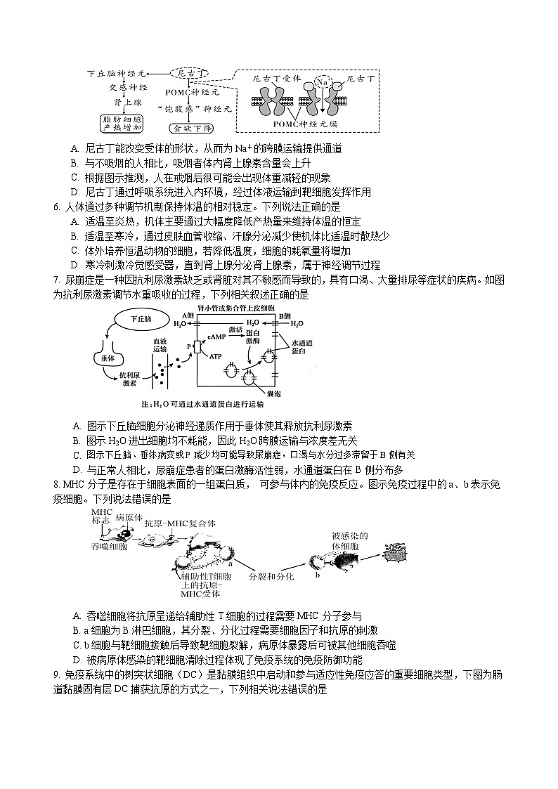 2024扬州高邮高二上学期12月月考试题生物无答案02
