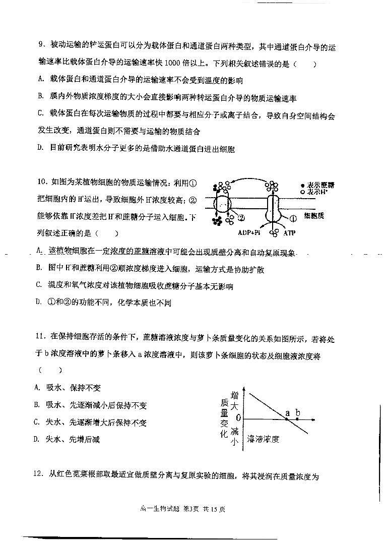 2024赤峰四中高一上学期12月期中考试生物PDF版含答案第3页