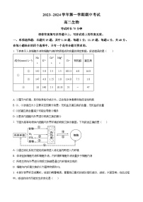 福建省厦门市湖滨中学2023-2024学年高二上学期期中生物试题（Word版附答案）