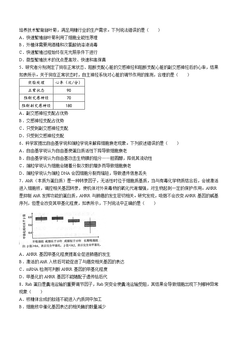 广东省江门市2023-2024学年高三上学期11月大联考生物试题（Word版附解析）02