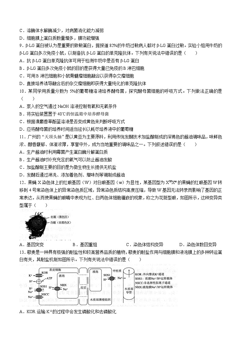 广东省江门市2023-2024学年高三上学期11月大联考生物试题（Word版附解析）03
