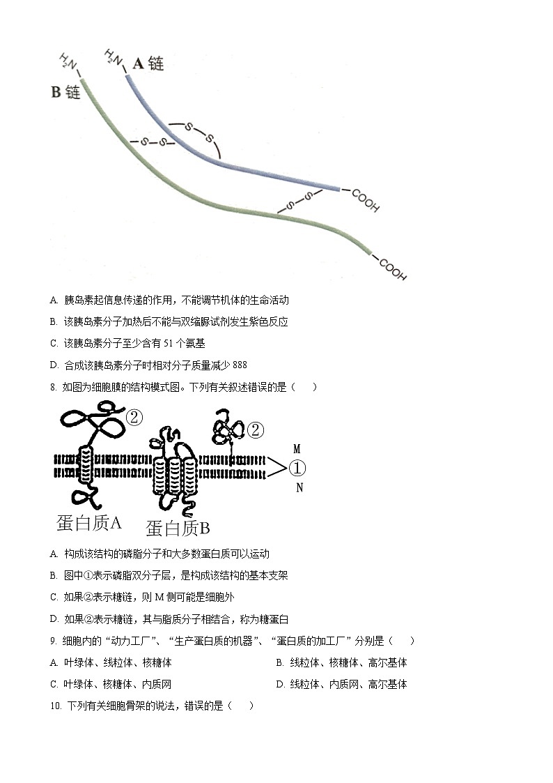河南省开封市五县联考2023-2024学年高一上学期期中生物试题（Word版附解析）03