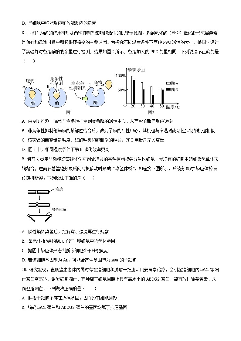 黑龙江省哈尔滨师范大学附中2023-2024学年高三上学期11月第三次调研生物试题（Word版附答案）03