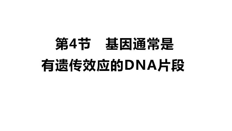 人教版高中生物必修二3.4基因通常是有遗传效应的DNA片段课件+同步分层练习（含答案解析）01