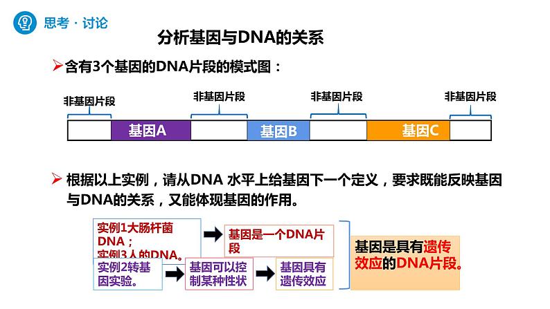 人教版高中生物必修二3.4基因通常是有遗传效应的DNA片段课件+同步分层练习（含答案解析）07