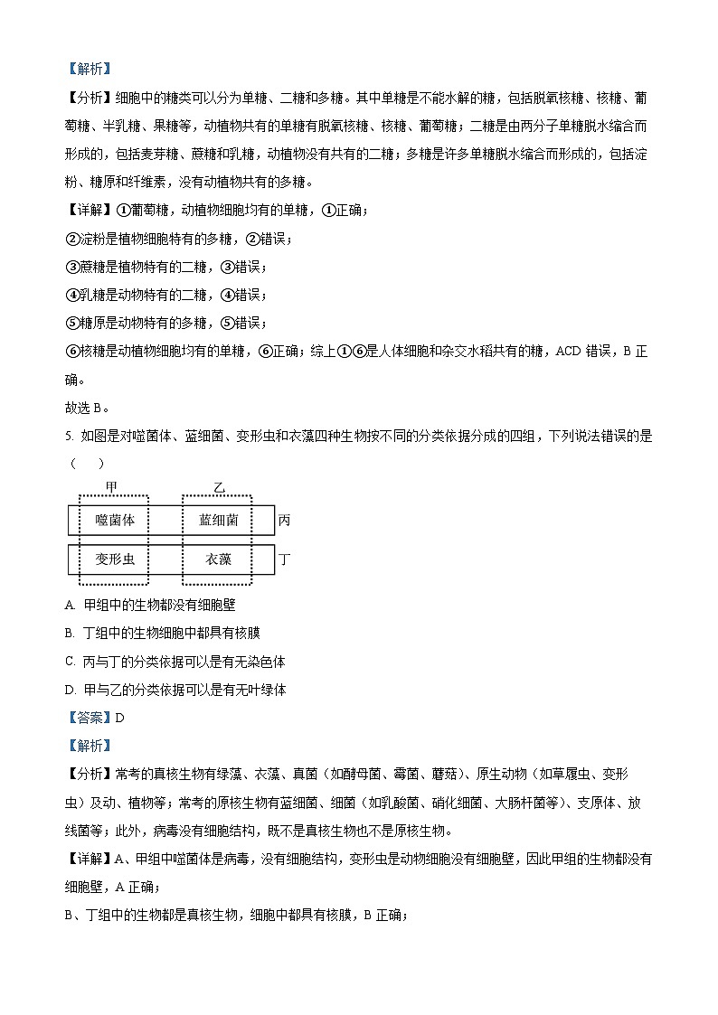 湖北省部分普通高中联盟2023-2024学年高一上学期期中联考生物试题（Word版附解析）03