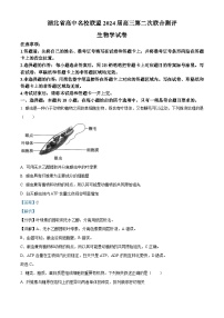 湖北省高中名校联盟2023-2024学年高三上学期期中联考生物试题（Word版附解析）