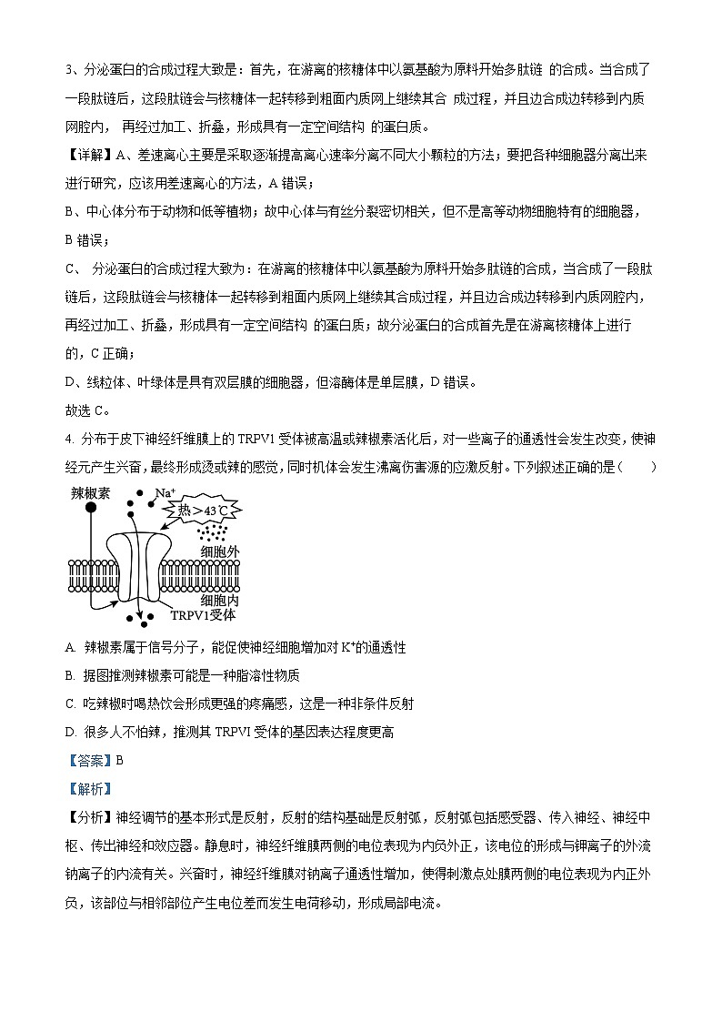 湖北省高中名校联盟2023-2024学年高三上学期期中联考生物试题（Word版附解析）03
