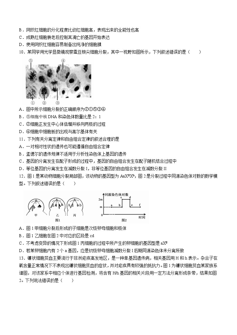 湖北省黄冈市部分高中2023-2024学年高三上学期期中联考生物试题（Word版附答案）03