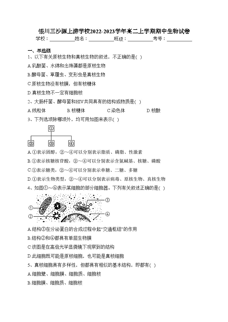 银川三沙源上游学校2022-2023学年高二上学期期中生物试卷(含答案)01