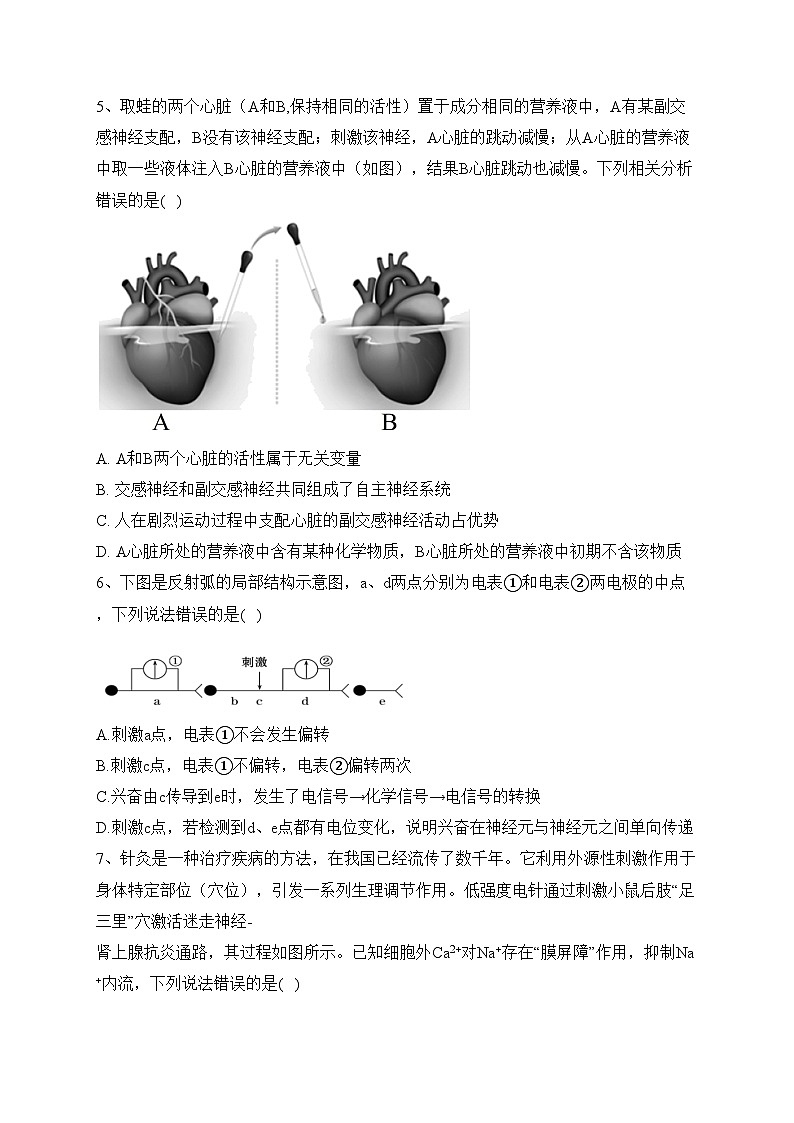 重庆市万州第二高级中学2023-2024学年高二上学期期中生物试卷(含答案)第2页
