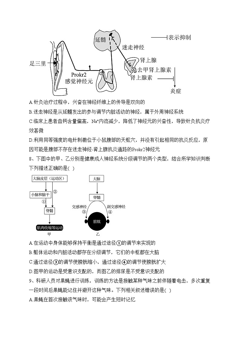 重庆市万州第二高级中学2023-2024学年高二上学期期中生物试卷(含答案)第3页