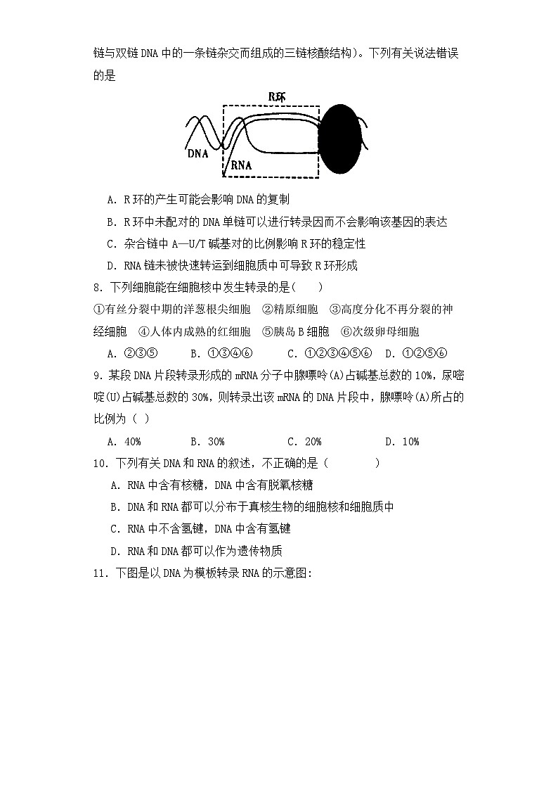 人教版高中生物必修二4.1基因指导蛋白质的合成（第一课时）课件+同步分层练习（含答案解析）02