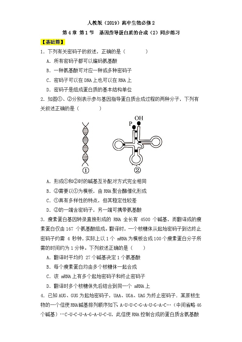 人教版高中生物必修二4.1基因指导蛋白质的合成（第二课时）课件+同步分层练习（含答案解析）01