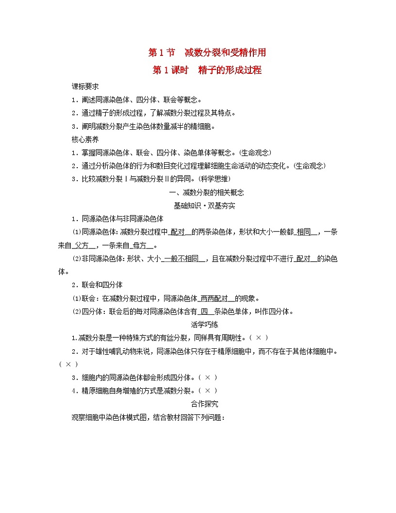 新教材适用2023_2024学年高中生物第2章基因和染色体的关系第1节减数分裂和受精作用第1课时精子的形成过程学案新人教版必修201