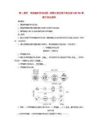 高中生物人教版 (2019)必修2《遗传与进化》二 受精作用第2课时学案及答案