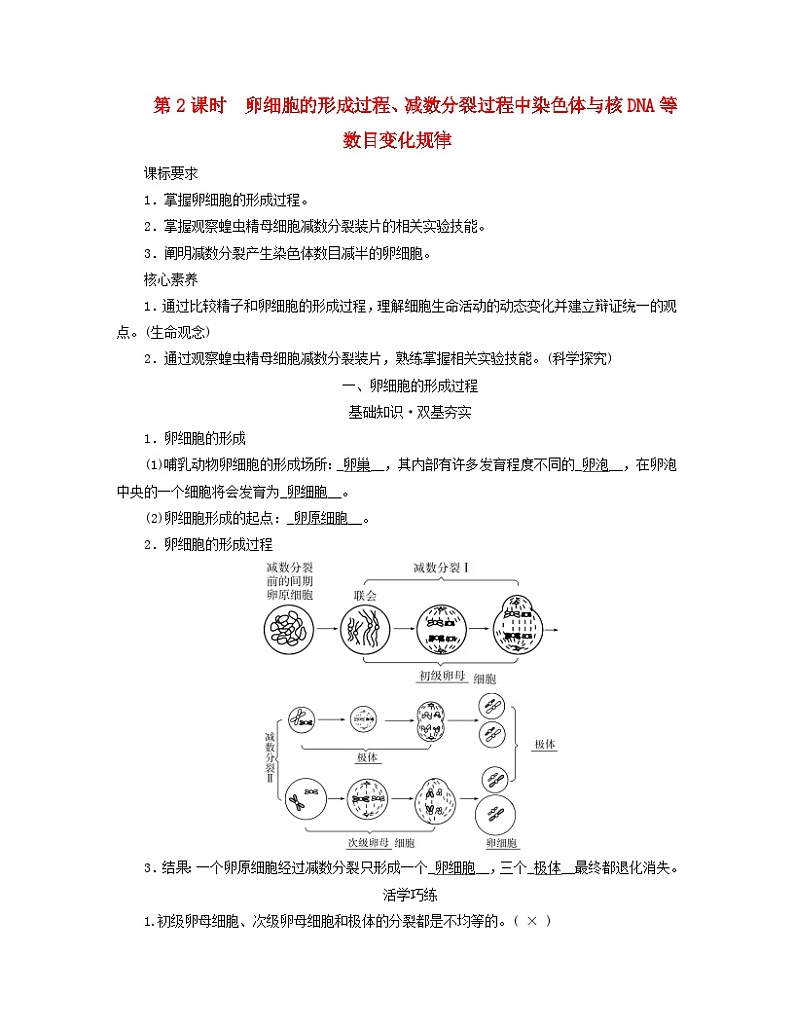 新教材适用2023_2024学年高中生物第2章基因和染色体的关系第1节减数分裂和受精作用第2课时卵细胞的形成过程减数分裂过程中染色体与核DNA等数目变化规律学案新人教版必修2第1页
