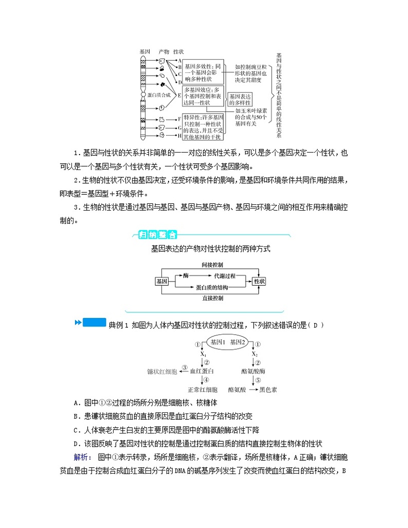 新教材适用2023_2024学年高中生物第4章基因的表达第2节基因表达与性状的关系学案新人教版必修203