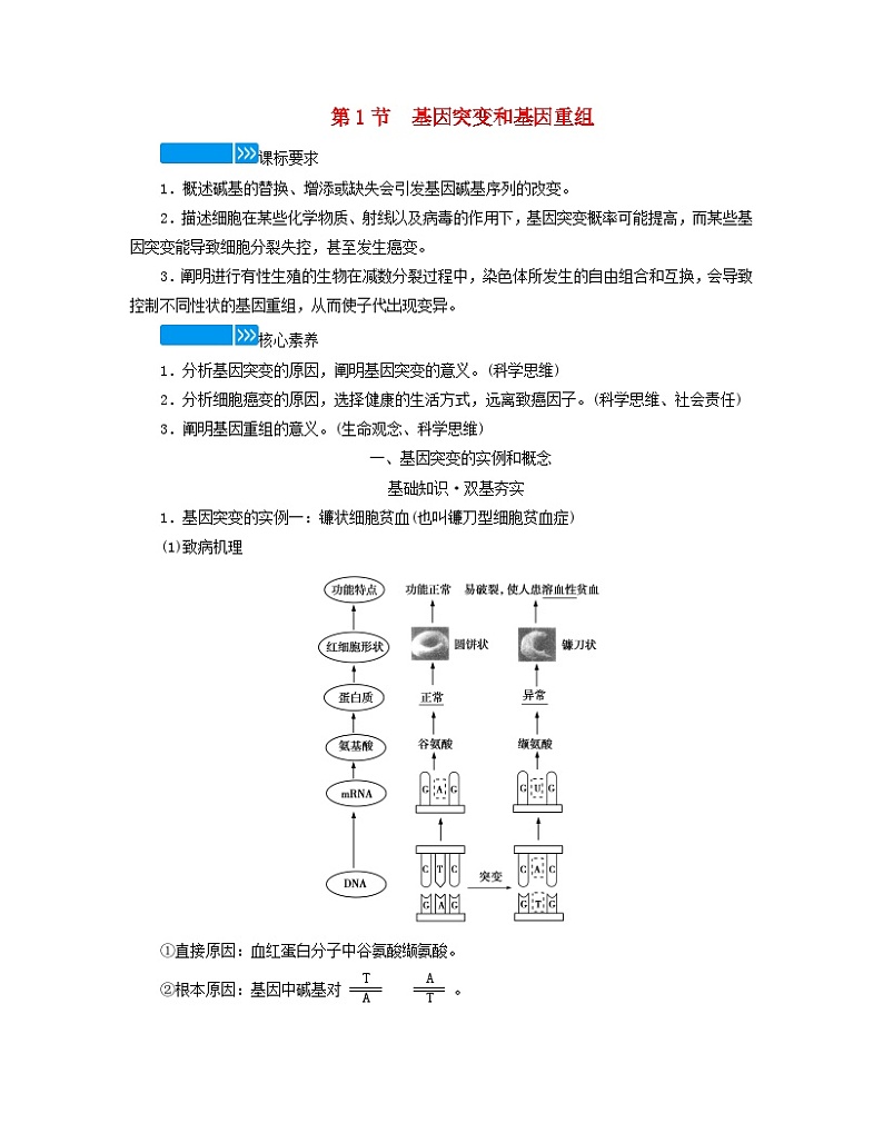 新教材适用2023_2024学年高中生物第5章基因突变及其他变异第1节基因突变和基因重组学案新人教版必修201
