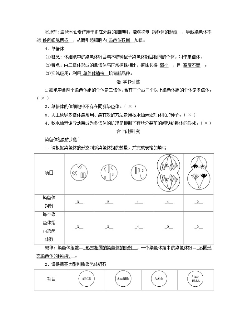 新教材适用2023_2024学年高中生物第5章基因突变及其他变异第2节染色体变异学案新人教版必修202