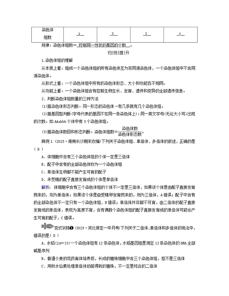 新教材适用2023_2024学年高中生物第5章基因突变及其他变异第2节染色体变异学案新人教版必修203