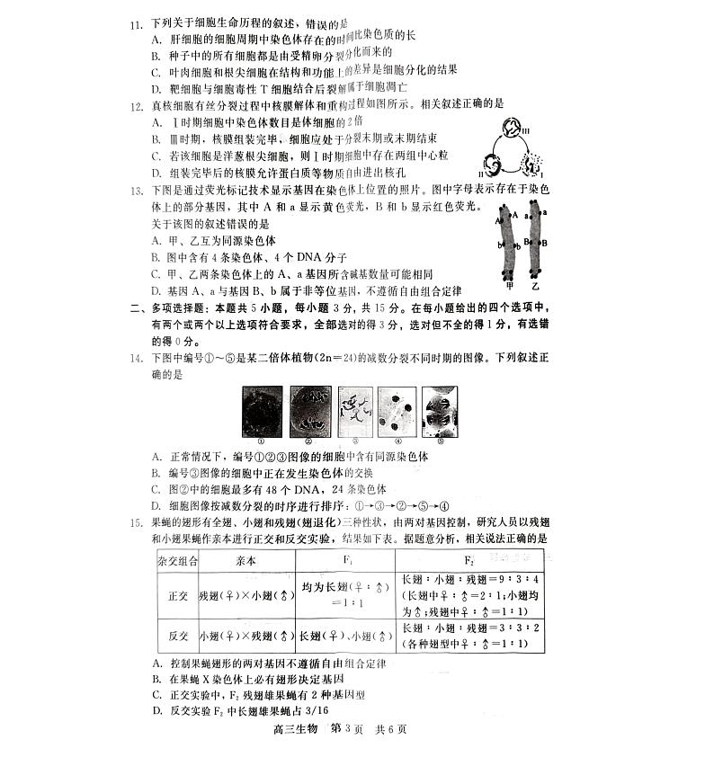 2024张家口张垣联盟高三上学期12月阶段测试生物PDF版含答案第3页