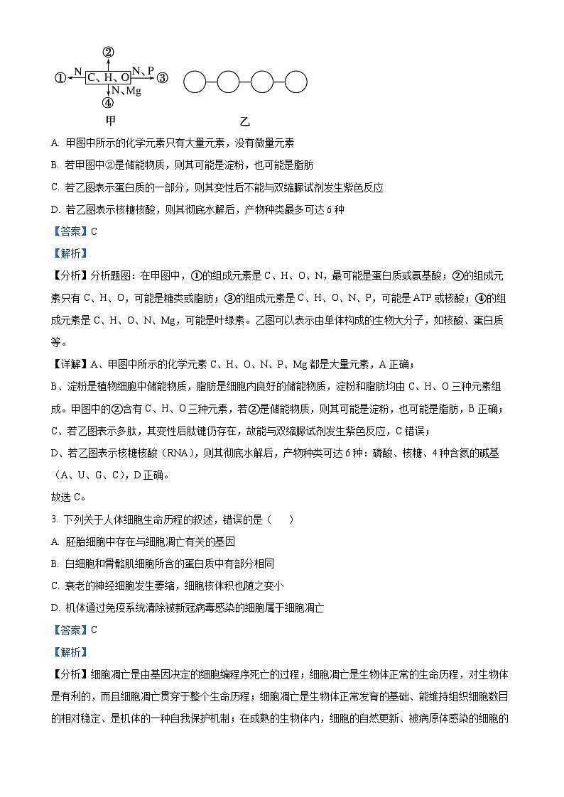 2024天津市南开中学高三上学期12月月考生物试题含解析02