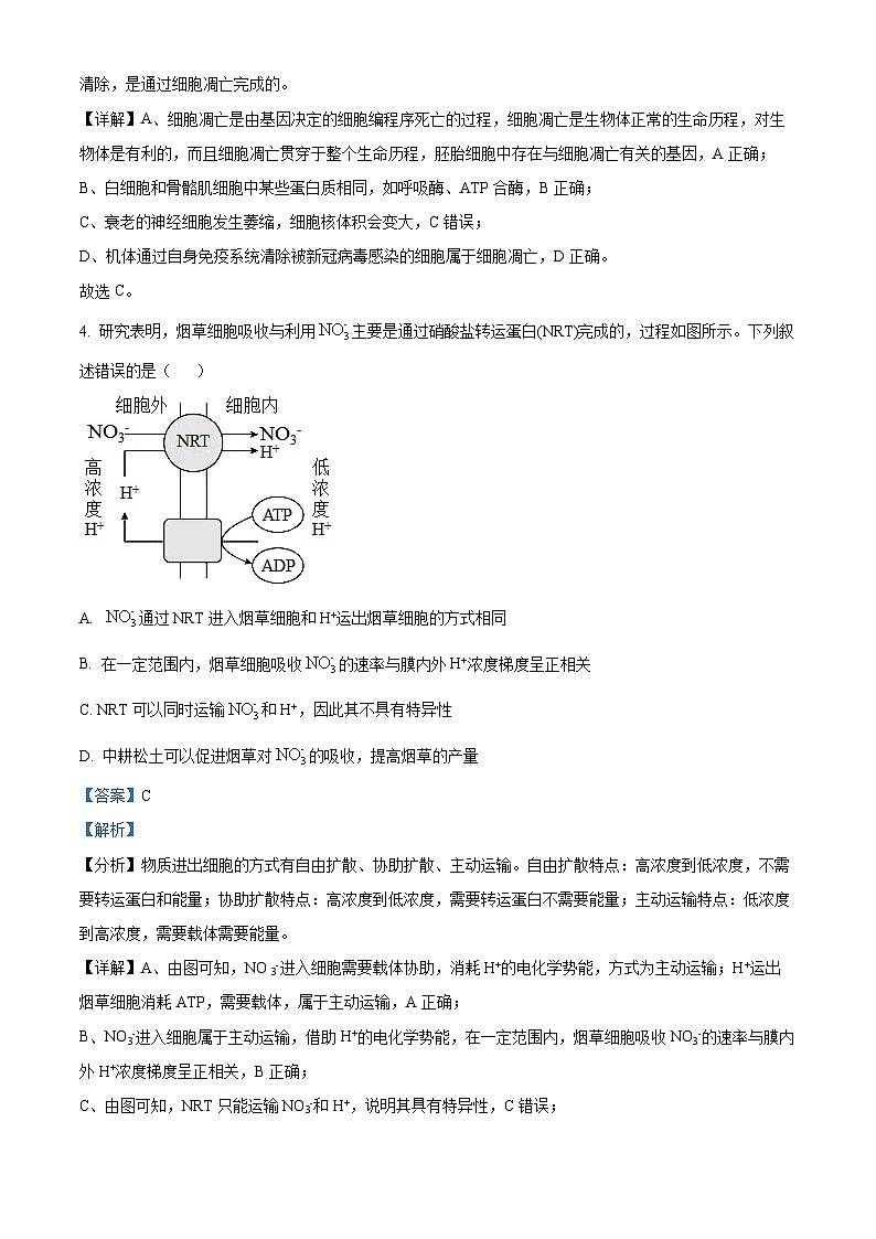2024天津市南开中学高三上学期12月月考生物试题含解析03