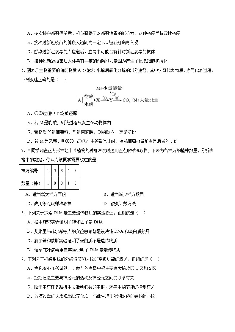 2024重庆北碚区缙云教育联盟高三上学期零诊试题生物含答案02